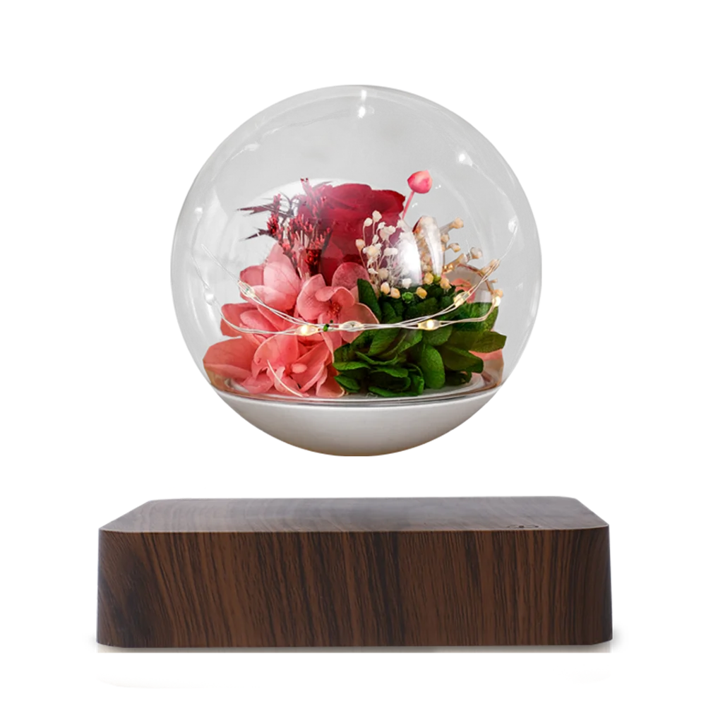 Floating Magnetic Flower Pot