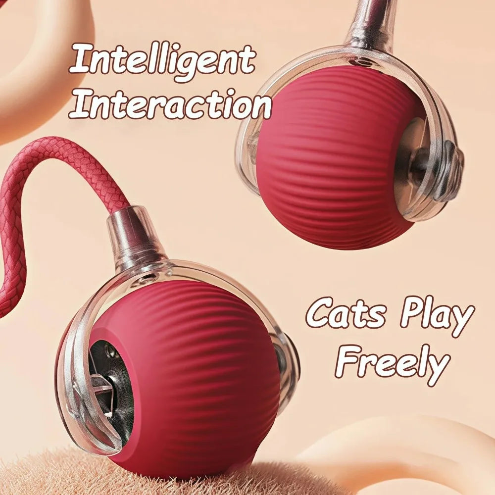 Automatic Rolling Ball Cat Toy