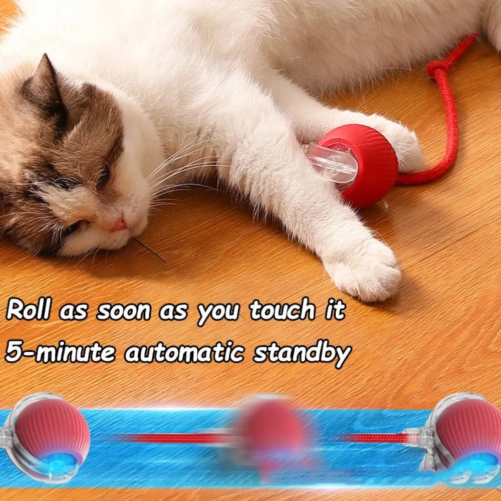 Automatic Rolling Ball Cat Toy