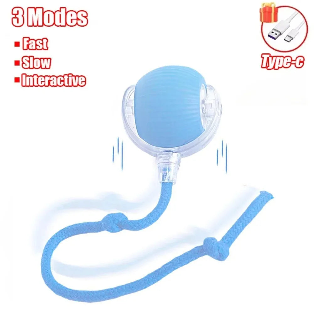 Automatic Rolling Ball Cat Toy