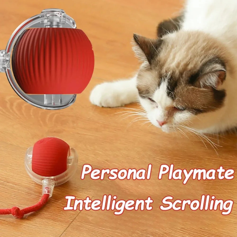 Automatic Rolling Ball Cat Toy